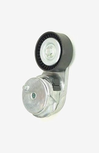 Spannrolle keilriemen - ,